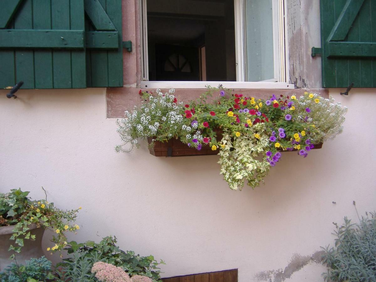 Charmant Petit Appartement En Alsace Bouxwiller  Kültér fotó